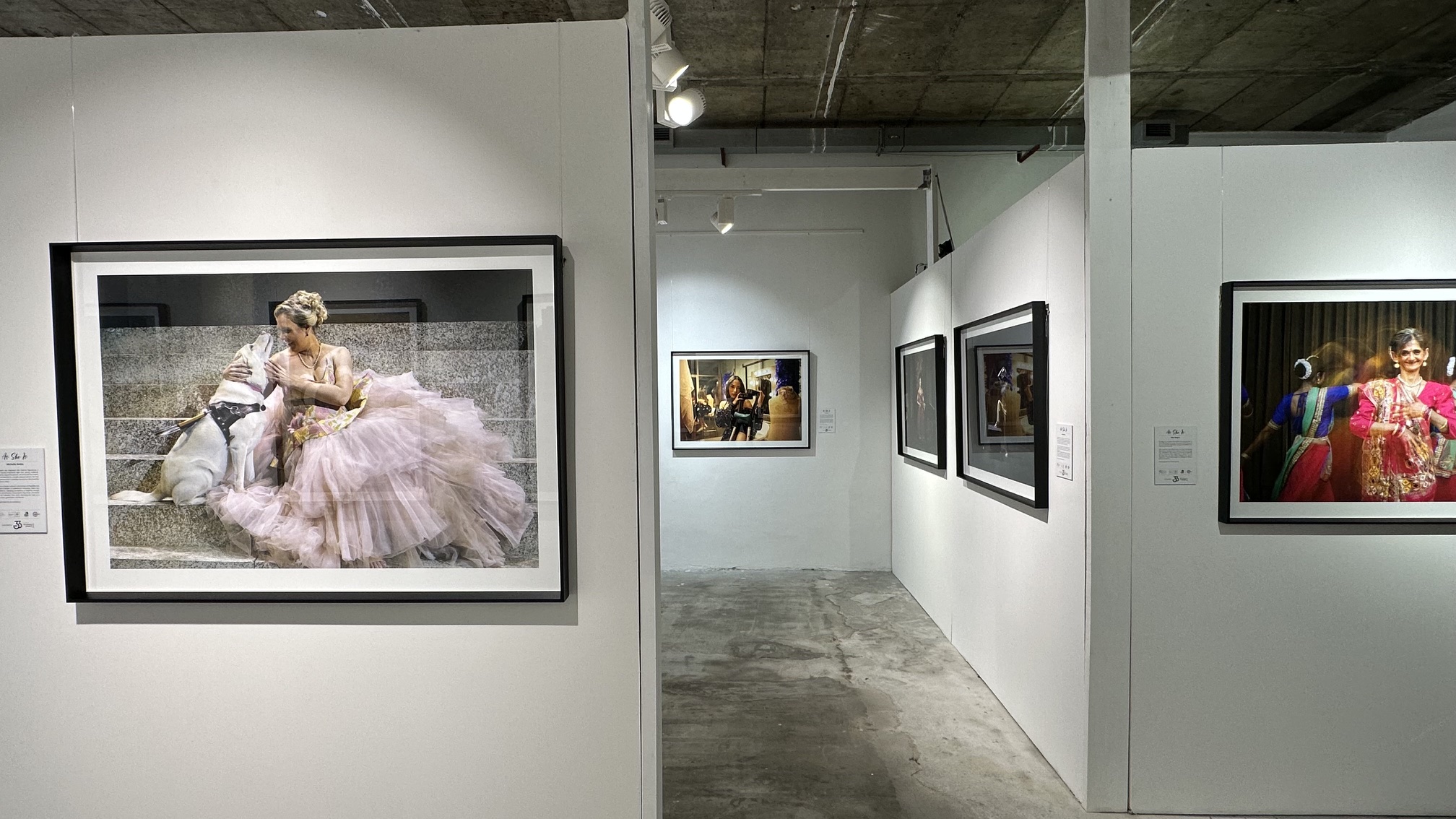 A portrait of a woman in a pink dress with a guide dog leads an installation view of As She Is at 33BREE.